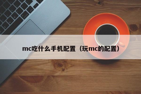 mc吃什么手机配置（玩mc的配置）